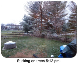 Sticking on trees 5:12 pm