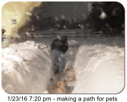 1/23/16 7:20 pm - making a path for pets